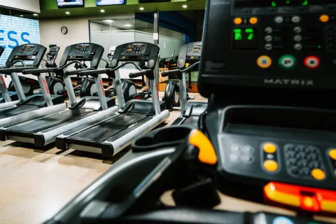 澳门老虎机视频：动漫人物桶机视频日本人物插｜51动漫机机对机机